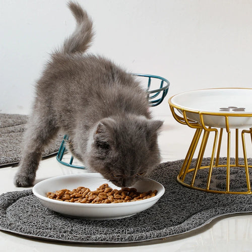 Elevated Ceramic Pet Feeder